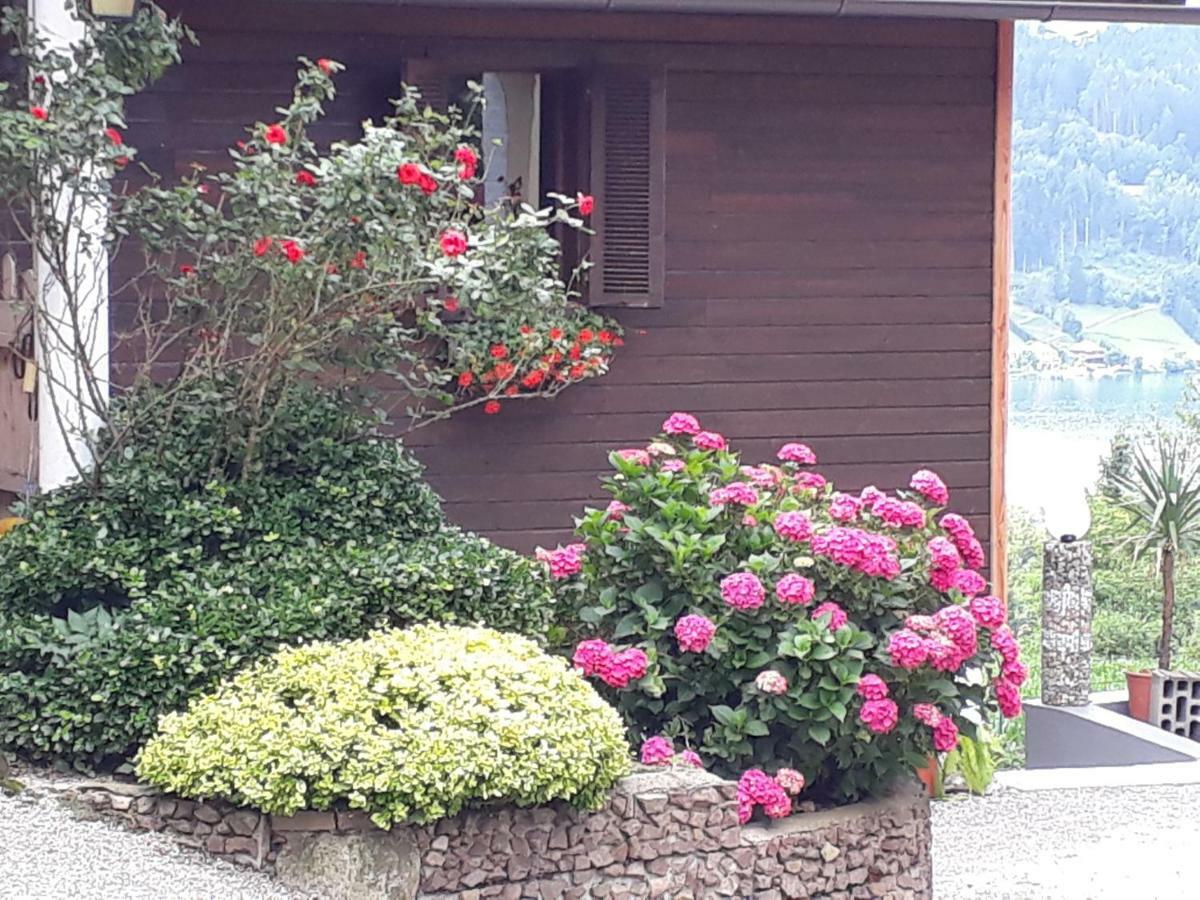 Guggenbichler * Seeboden